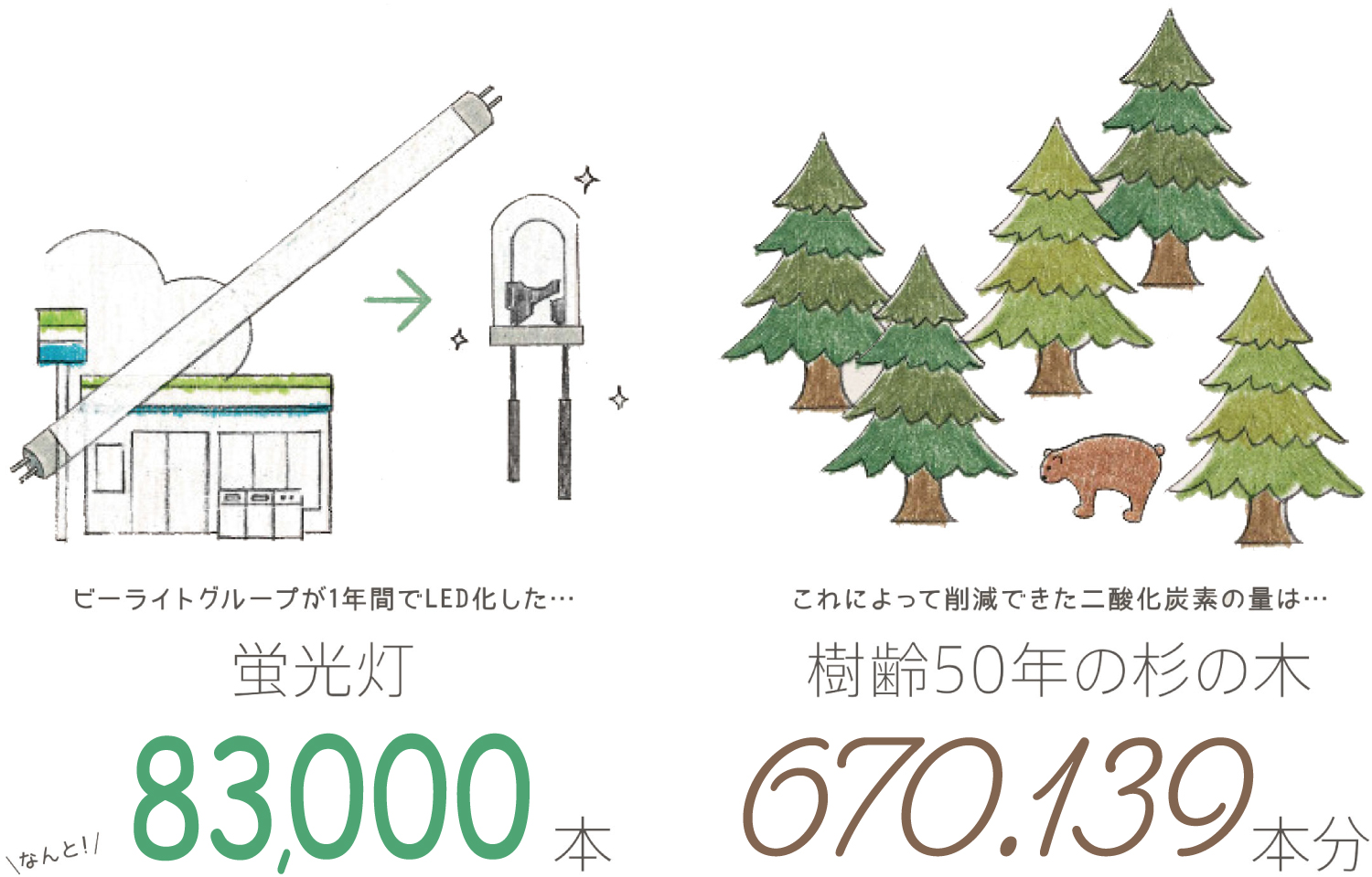 株式会社ビーライトグループ　店舗のLED化で削減できたCO2排出量